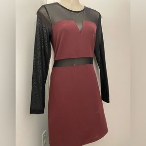 Bodycon mesh dress